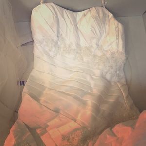 Wedding dress and veil